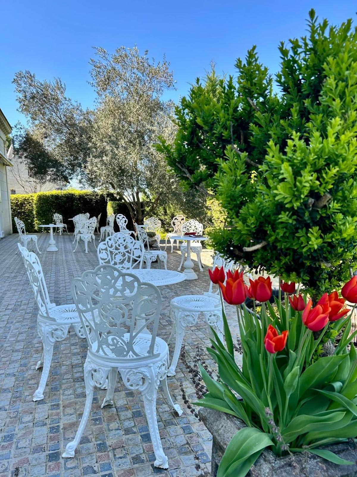Logis Demeure De La Vignole Hotel Turquant Luaran gambar